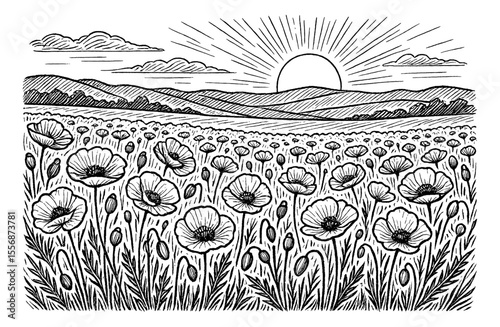 Field of Poppies with Hills and Sun in Black and White Engraved Style