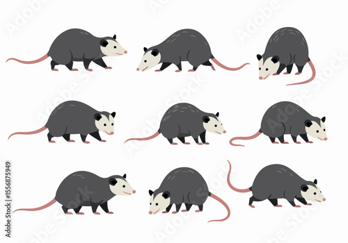 Set of Cute Cartoon Opossum Illustrations in Different Poses Isolated on White Background