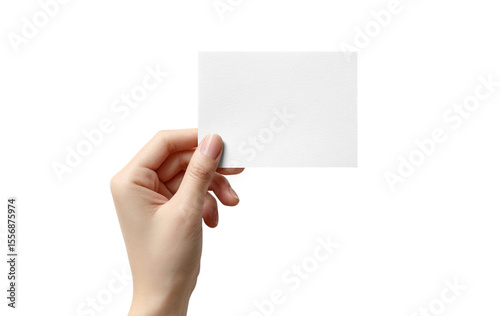  hand holding a blank white square card isolated on transparent background