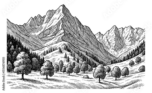 Detailed Mountain Landscape with Trees and Hills in Black and White Engraving Style