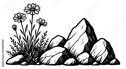 Black and White Drawing of Daisies Flowers and Rocks Stacked Landscape Illustration