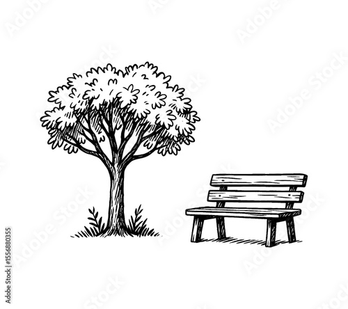 Illustration of a Tree and a Bench in a Park Drawn in Black and White Line Art Style