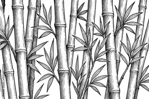 Monochrome Bamboo Forest Illustration with Detailed Line Work and Elegant Composition