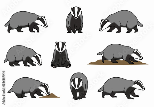 Set of Cute Cartoon Badger Illustrations in Different Poses on a White Background