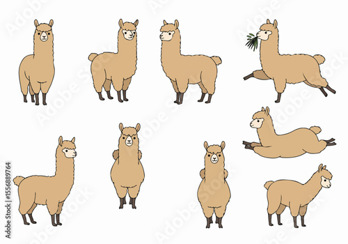 Set of cute cartoon llamas in different poses, simple hand-drawn illustration for design elements, isolated on white background.