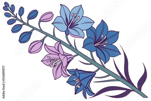 Delphinium Botanical Clipart for Nature Projects