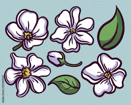set of Jasmine Flower and Leaf 