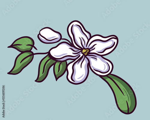Handdrawn Jasmine Flower Arrangement with Leaves and Stems Illustration