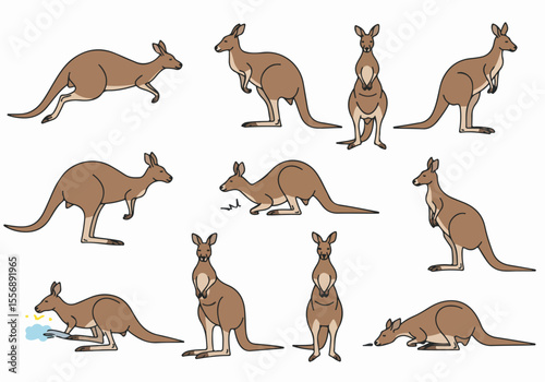 Set of vector illustrations featuring kangaroos in various action poses including jumping, standing, sitting, drinking, and sniffing on a white background.