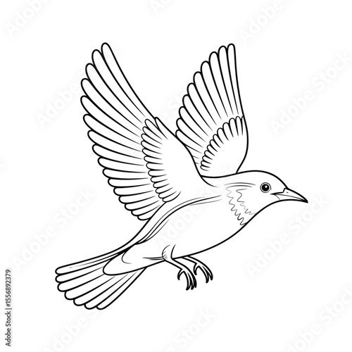 Black and white bird illustration with outstretched wings in flight against white background