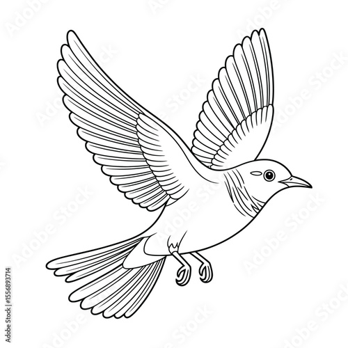 Black and white illustration of a bird in flight with outstretched wings