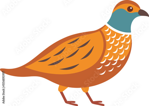 Beautiful quail bird close-up photo, wild quail in natural habitat, detailed quail feathers, quail wildlife photography, quail nature shot for Adobe Stock, Freepic, and microstock use