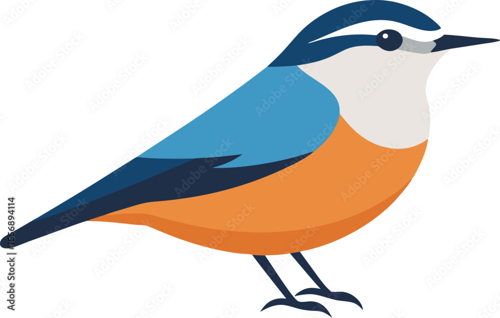 Obraz premium Beautiful close-up of nuthatch bird perched on tree bark, wildlife nature photography, small forest bird, colorful feathers, wild bird in natural habitat, high resolution stock image.