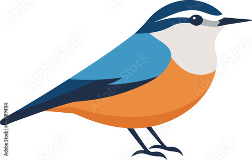 Beautiful close-up of nuthatch bird perched on tree bark, wildlife nature photography, small forest bird, colorful feathers, wild bird in natural habitat, high resolution stock image.