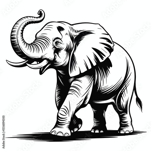 Black and white illustration of an elephant walking with trunk raised