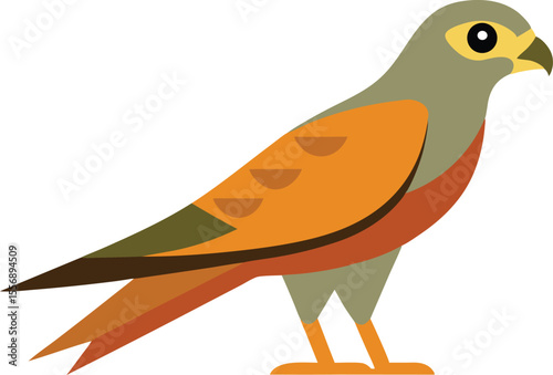 Harrier bird flying hunting in nature, majestic raptor bird of prey soaring, close-up wild harrier in natural habitat, sharp talons, feathers detailed, powerful hawk, beautiful wildlife bird image.