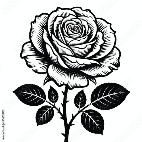 Black and white rose illustration with leaves and stem on white background