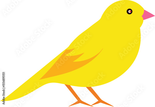 Bright yellow canary bird singing on branch, isolated small wild songbird close-up, nature wildlife pet bird photo, vibrant tropical canary image for backgrounds and designs.
