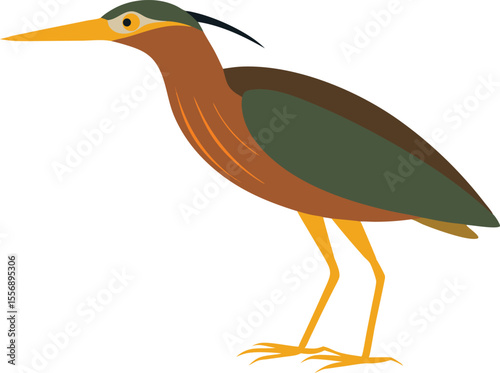 Close-up of Bittern Bird in Natural Habitat, Marshland Wildlife Photography, Rare Wading Bird, Wetland Avian Species, Ideal for Nature, Birdwatching, Wildlife, and Ornithology Content