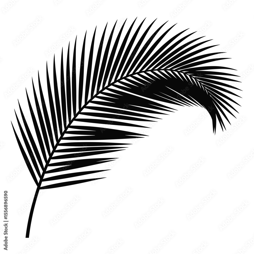 Obraz premium Black Palm Leaf Silhouette on White Background vector 1