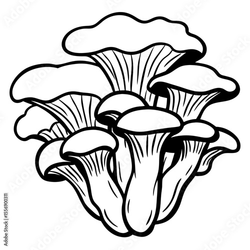mushrooms