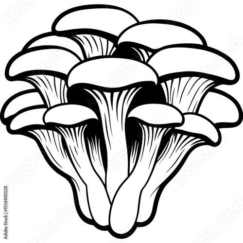 mushroom isolated on black