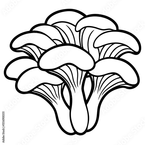 mushrooms on a white background