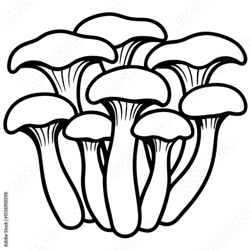 mushroom isolated on white background