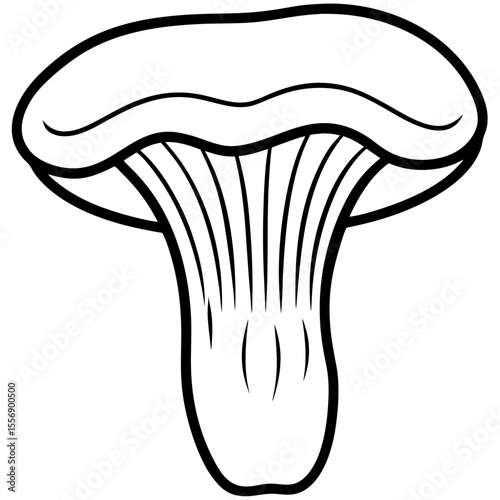 vector illustration of mushrooms