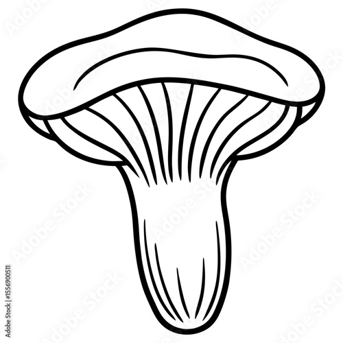 mushroom vector illustration