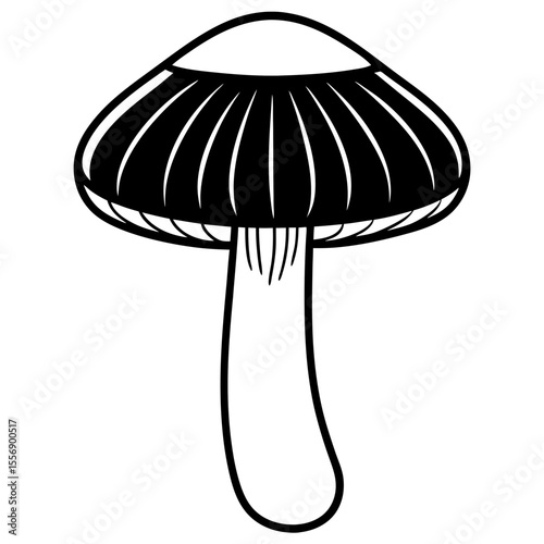 mushroom vector illustration