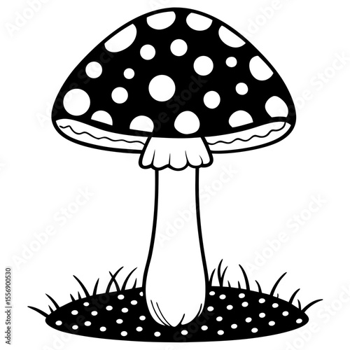fly agaric mushroom