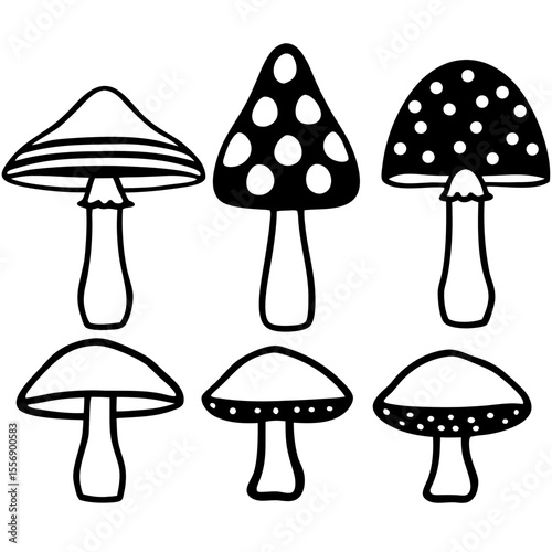 vector illustration of mushrooms