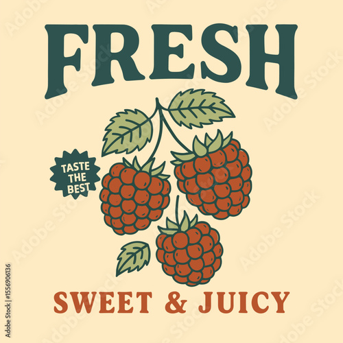 Raspberry vintage retro graphics, summer food print, girls t-shirt design, berry branch sketch, trendy fruit fashion vector art