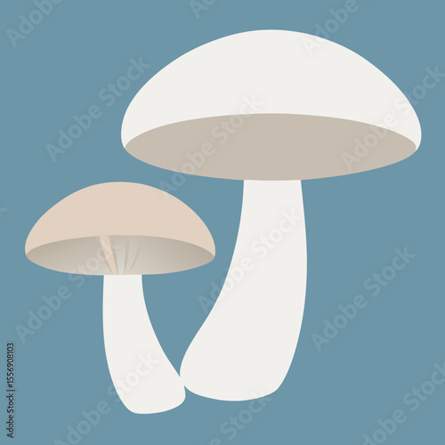 mushroom vector illustration