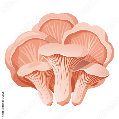 mushroom isolated on white background