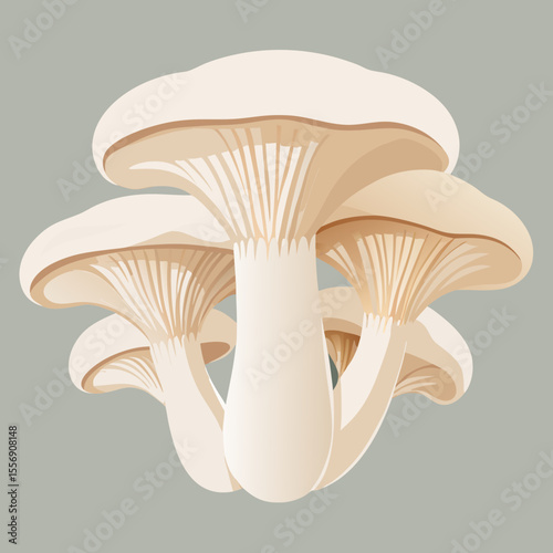 mushroom on black