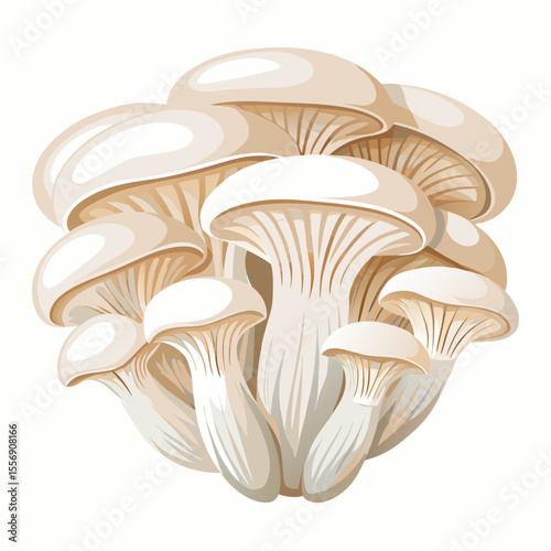 mushrooms on white background