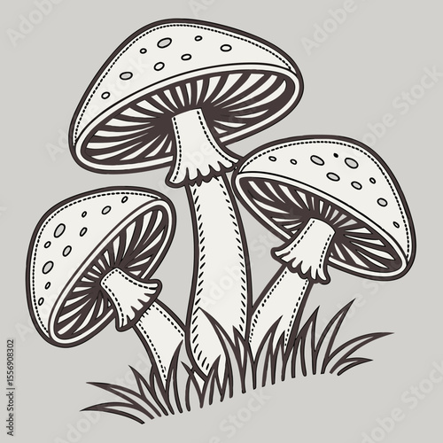 vector illustration of mushroom