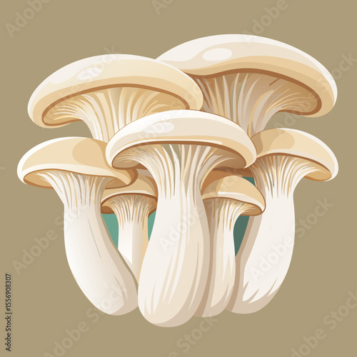 vector illustration of mushrooms