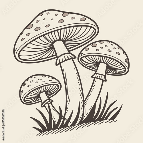 vector illustration of mushrooms