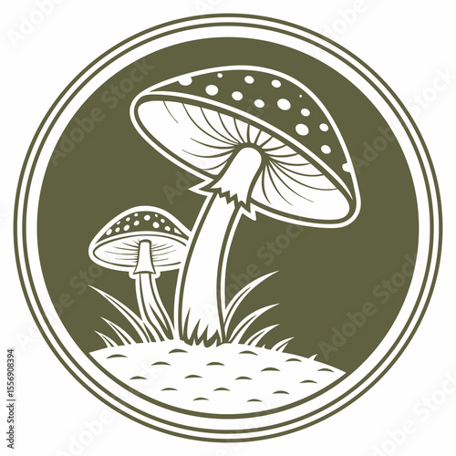 mushrooms and leaves