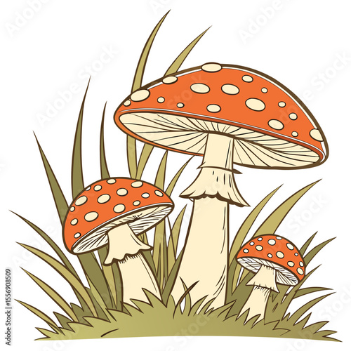fly agaric mushroom
