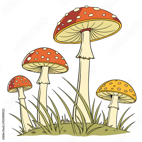mushrooms in the grass