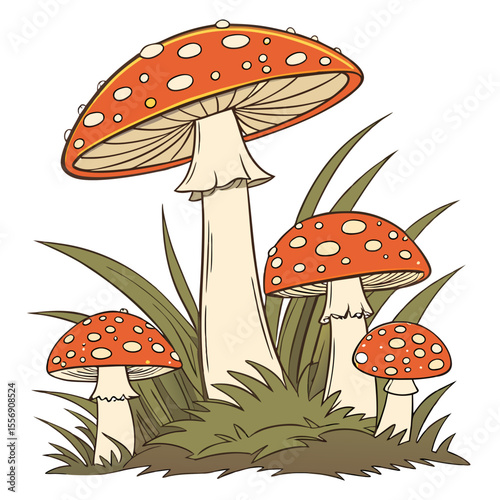 fly agaric mushroom
