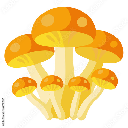 mushrooms isolated on white