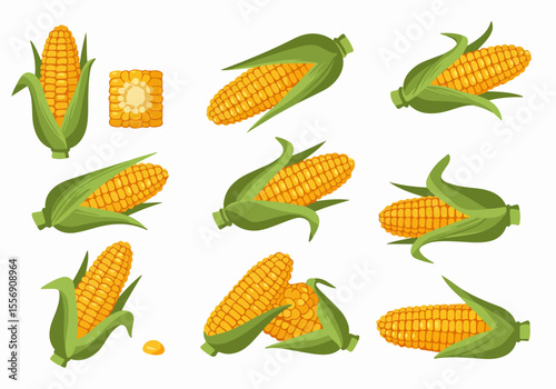 Set of various cartoon illustrations of corn on the cob and kernels. Fresh, ripe yellow corn in different angles and forms.