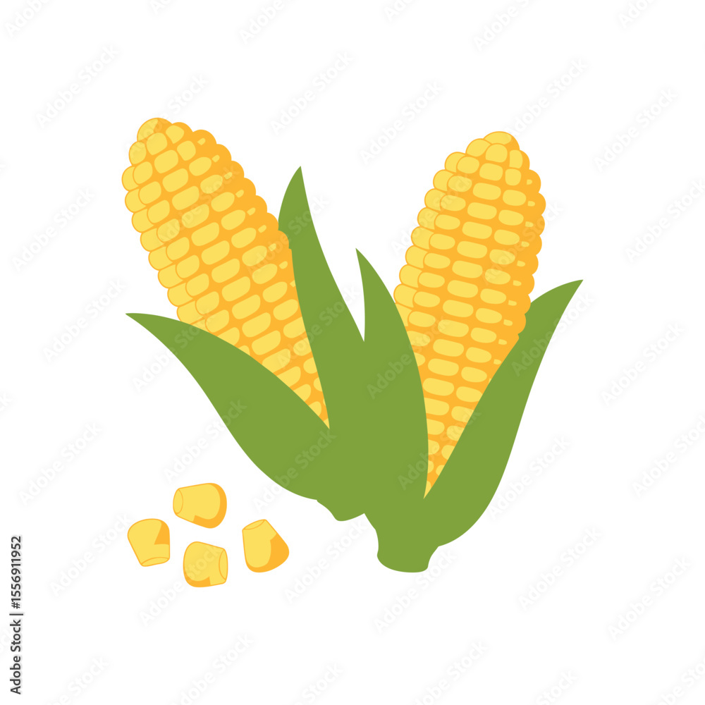 Obraz premium Sweet Corn Fresh, Ripe, and Ready to Eat - Delicious Maize Illustration