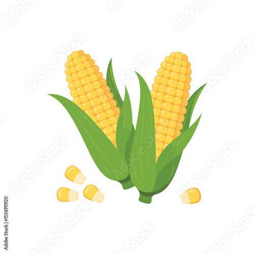 Vector illustration single and set of yellow corn in cartoon flat style. Cute corncob maize sign icon. Organic food, vegetables agriculture product. Restaurant menu concept