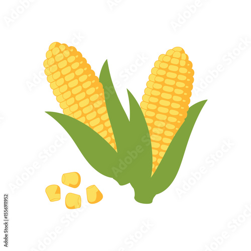 Sweet Corn Fresh, Ripe, and Ready to Eat - Delicious Maize Illustration